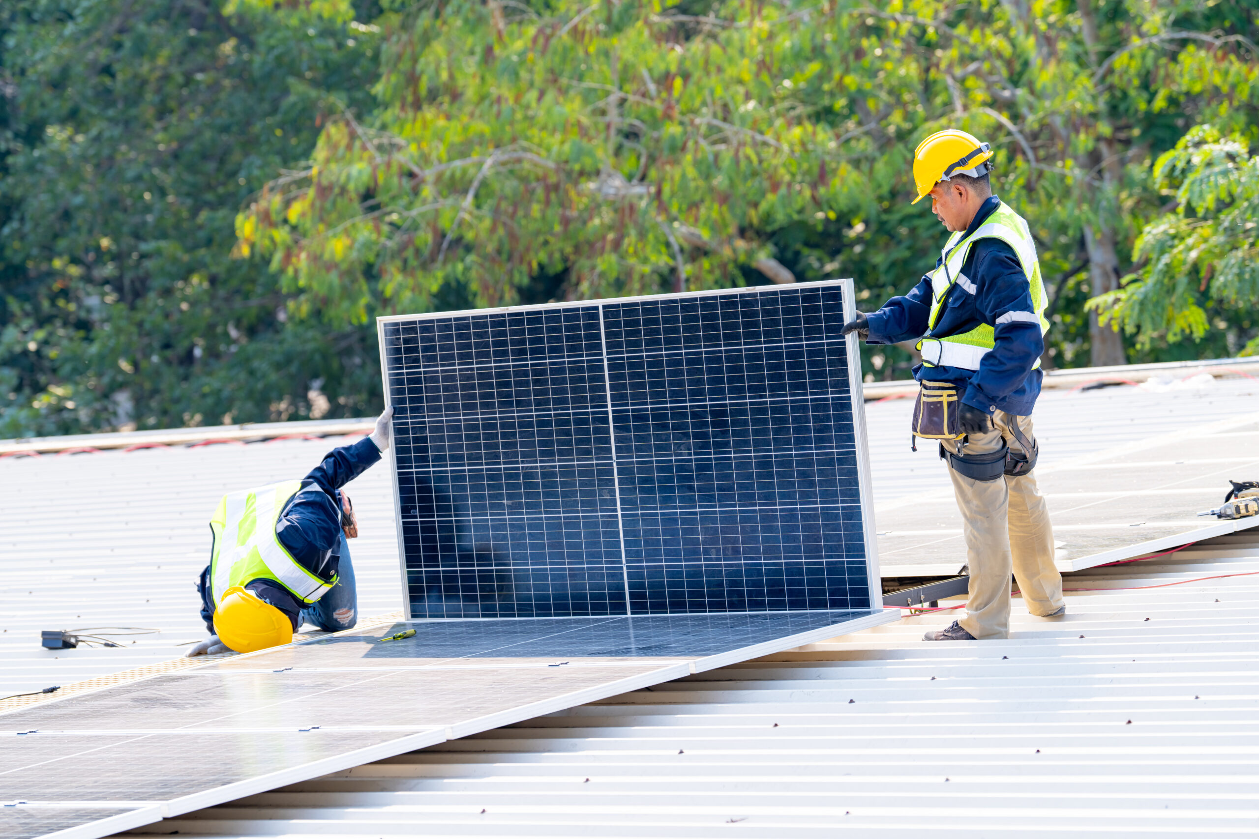 Solar cell farm power plant eco technology